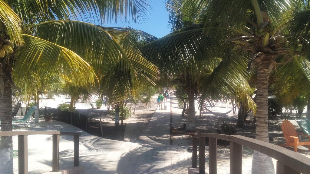 Hotel & Villas Playa Maya Resorts Celestun Kültér fotó